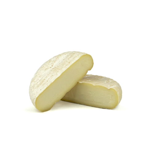 Italico